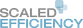 Scaled Efficiency